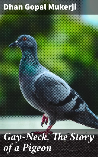 Gay-Neck, The Story of a Pigeon, Dhan Gopal Mukerji