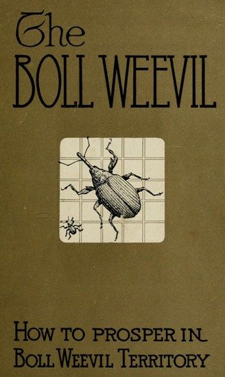 How to Prosper in Boll Weevil Territory, George Howard Alford