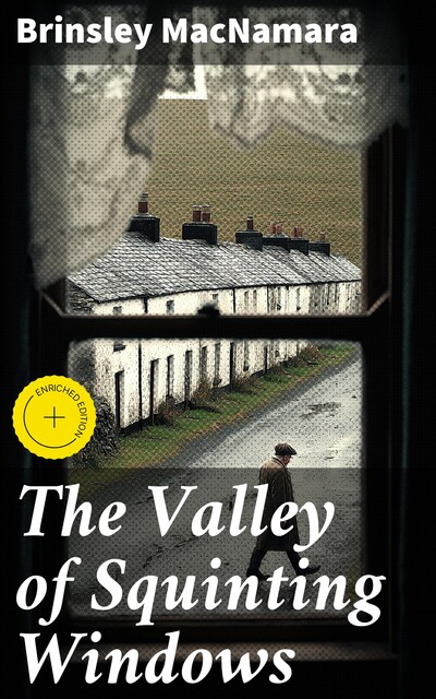 The Valley of Squinting Windows, Brinsley MacNamara