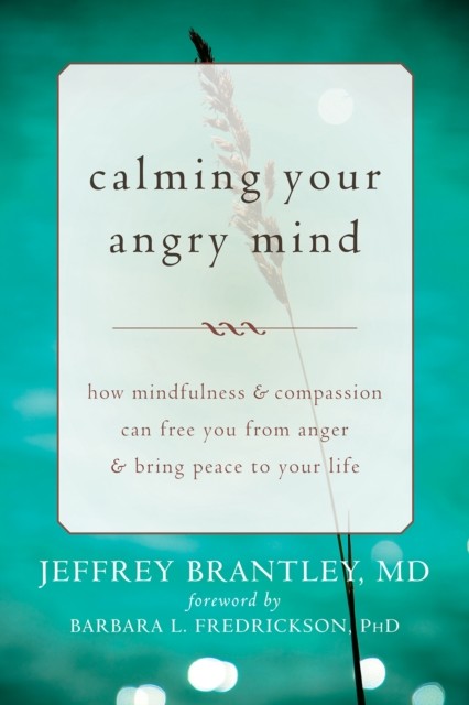Calming Your Angry Mind, Jeffrey Brantley