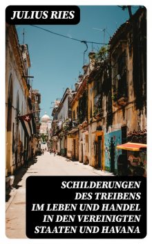 Schilderungen des Treibens im Leben und Handel in den Vereinigten Staaten und Havana, Julius Ries