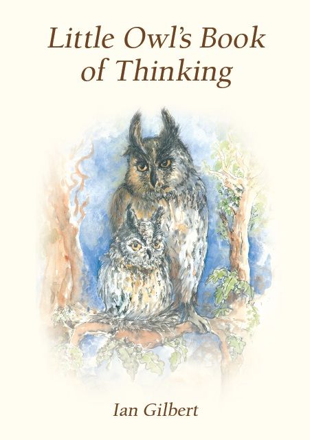 Little Owl's Book of Thinking, Ian Gilbert