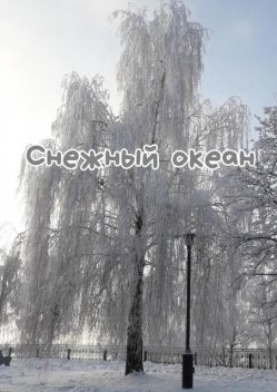 Снежный океан, Н.Ф. Козлова