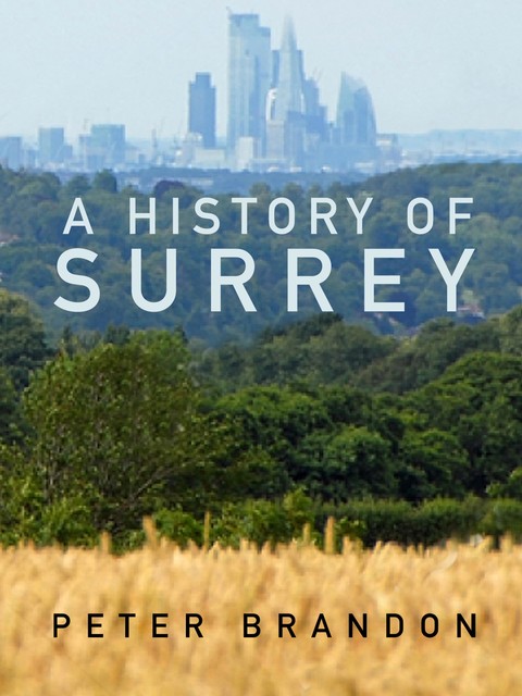 A History of Surrey, Peter Brandon