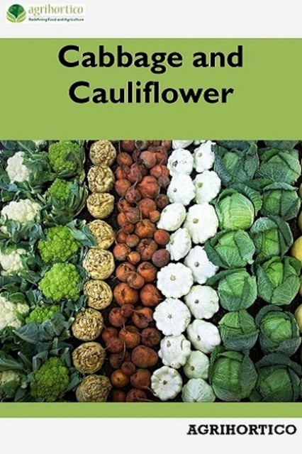Cabbage and Cauliflower, Agrihortico CPL