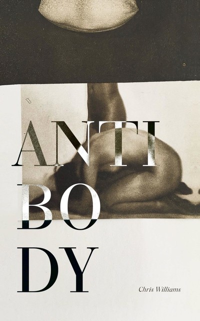 Antibody, Chris Williams