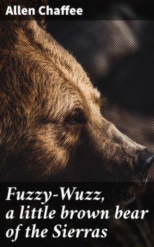 Fuzzy-Wuzz, a little brown bear of the Sierras, Allen Chaffee