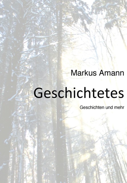 Geschichtetes, Markus Amann