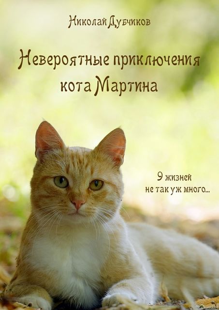 Невероятные приключения кота Мартина, Николай Дубчиков