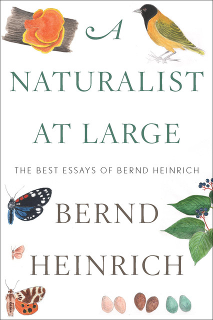 A Naturalist at Large, Bernd Heinrich