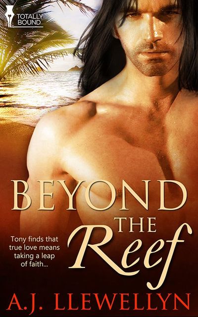Beyond the Reef, A.J.Llewellyn