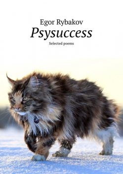 Psysuccess. Selected poems, Egor Rybakov