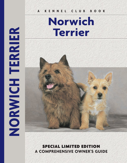 Norwich Terrier, Alice Kane