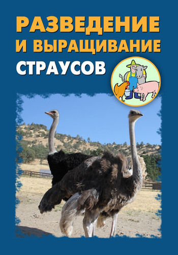Разведение и выращивание страусов, Илья Мельников