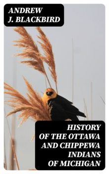 History of the Ottawa and Chippewa Indians of Michigan, Andrew J.Blackbird