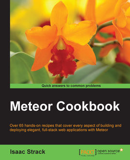Meteor Cookbook, Isaac Strack