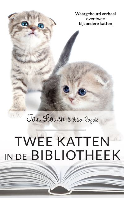 Twee katten in de bibliotheek, Jan Louch