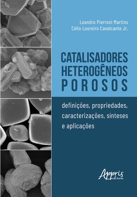 Catalisadores Heterogêneos Porosos: Definições, Propriedades, Caracterizações, Síteses e Aplicações, Célio Loureiro Cavalcante Jr., Leandro Pierroni Martins