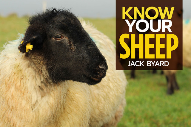 Know Your Sheep, Jack Byard
