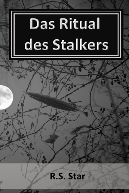 Das Ritual des Stalkers, R.S. Star