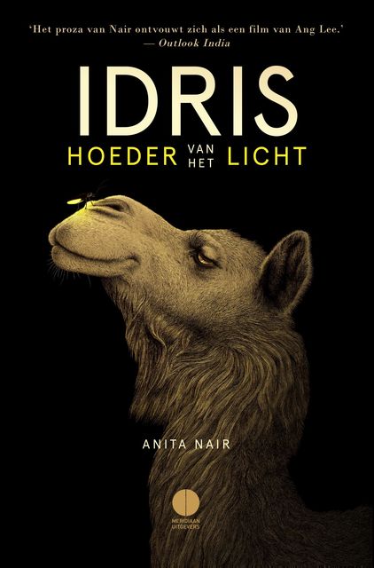 Idris, hoeder van het licht, Anita Nair