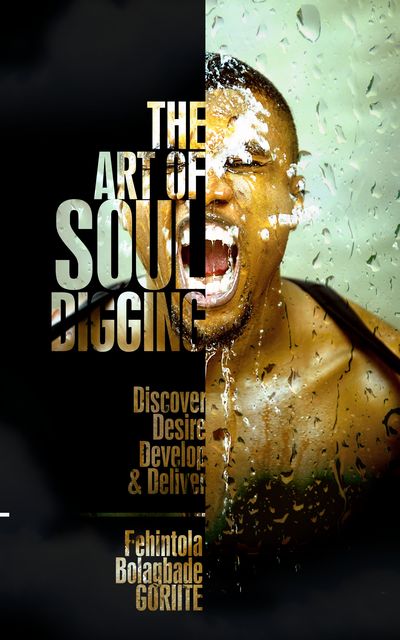 The Art Of Soul Digging, Fehintola Bolagbade