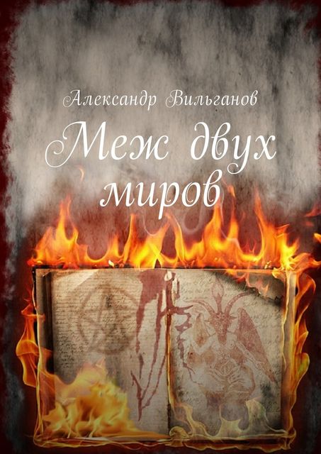 Меж двух миров, Александр Вильганов