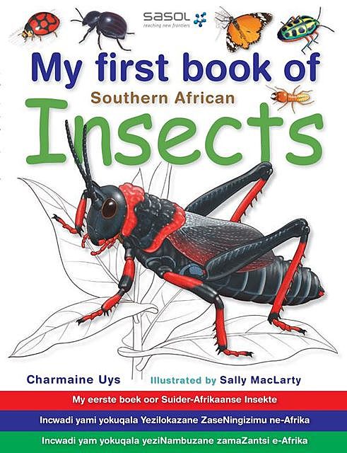 My First Book of Southern African Insects, Charmaine Uys, Sally MacLarty