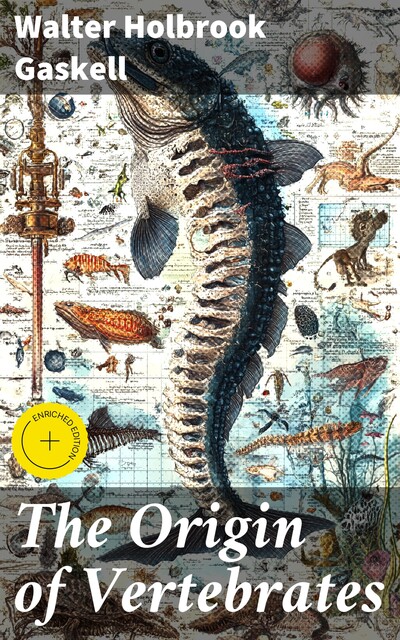The Origin of Vertebrates, Walter Holbrook Gaskell