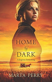 Home by Dark, Marta Perry