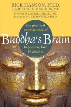 Buddha's Brain: The Practical Neuroscience of Happiness, Love, and Wisdom, Rick Hanson