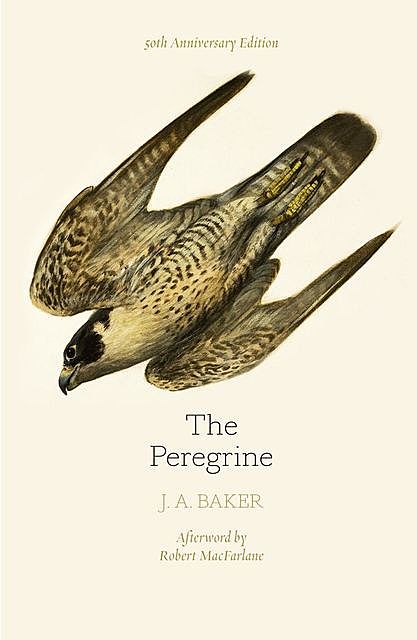The Peregrine: 50th Anniversary Edition, J.A.Baker