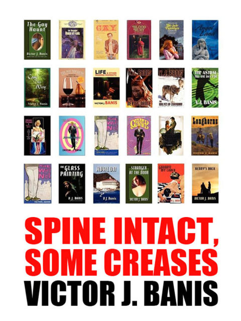 Spine Intact, Some Creases, Victor J.Banis