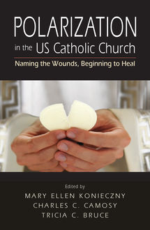 Polarization in the US Catholic Church, Charles C. Camosy, Mary Ellen Konieczny, Tricia C. Bruce