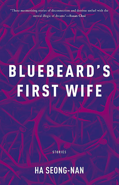 Bluebeard's First Wife, Ha Seong-Nan