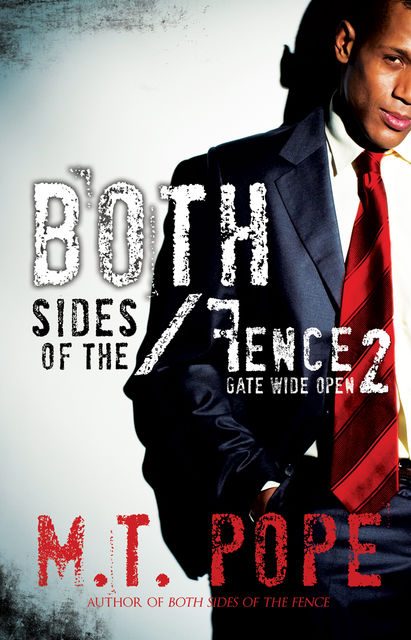 Both Sides of the Fence 2, M.T. Pope