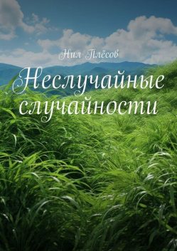 Неслучайные случайности, Нил Плёсов