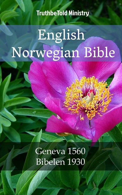 English Norwegian Bible, Joern Andre Halseth