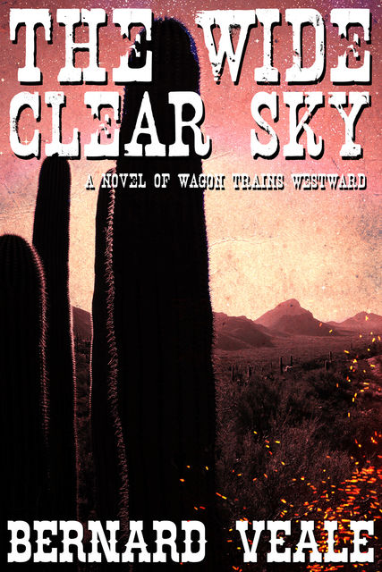 Wide Clear Sky, Bernard Veale