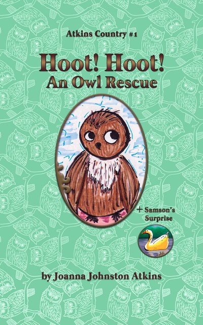 Hoot! Hoot! An Owl Rescue, Joanna Johnston Atkins