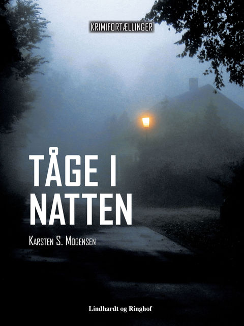 Tåge i natten, Karsten S. Mogensen