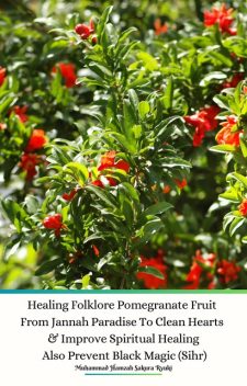 Healing Folklore Pomegranate Fruit From Jannah Paradise To Clean Hearts & Improve Spiritual Healing Also Prevent Black Magic (Sihr), Muhammad Hamzah Sakura Ryuki