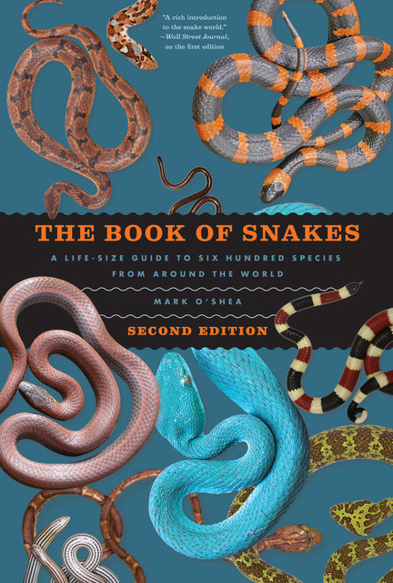 The Book of Snakes, Mark O'Shea