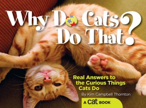 Why Do Cats Do That, Kim Campbell Thornton