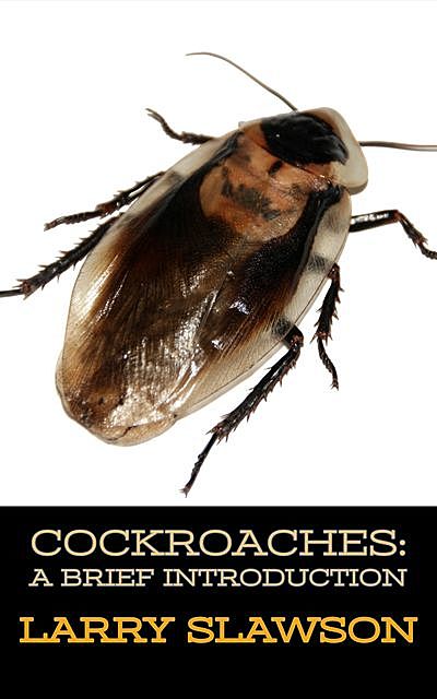 Cockroaches, Larry Slawson