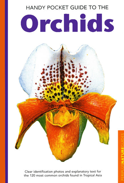 Handy Pocket Guide to Orchids, David P. Banks