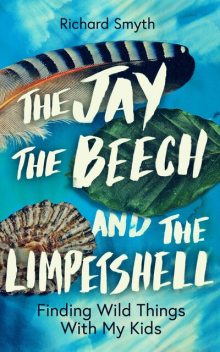 The Jay, The Beech and the Limpetshell, Richard Smyth