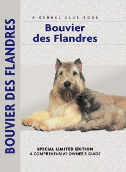 Bouvier Des Flandres, Robert Pollet