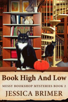 Book High And Low, Jessica Brimer