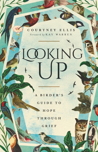 Looking Up, Courtney Ellis